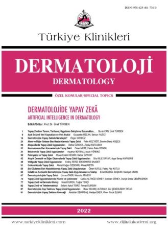 yapay-zeka-uygulamalarinda-riskler-ve-cekinceler-747×1024